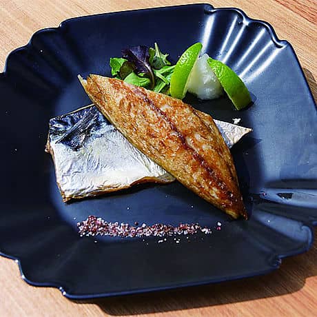 冷凍挪威鹽漬鯖魚片