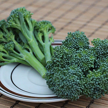 350_29_559879eb6e953041c6b369f30c9aafe2_1545245097