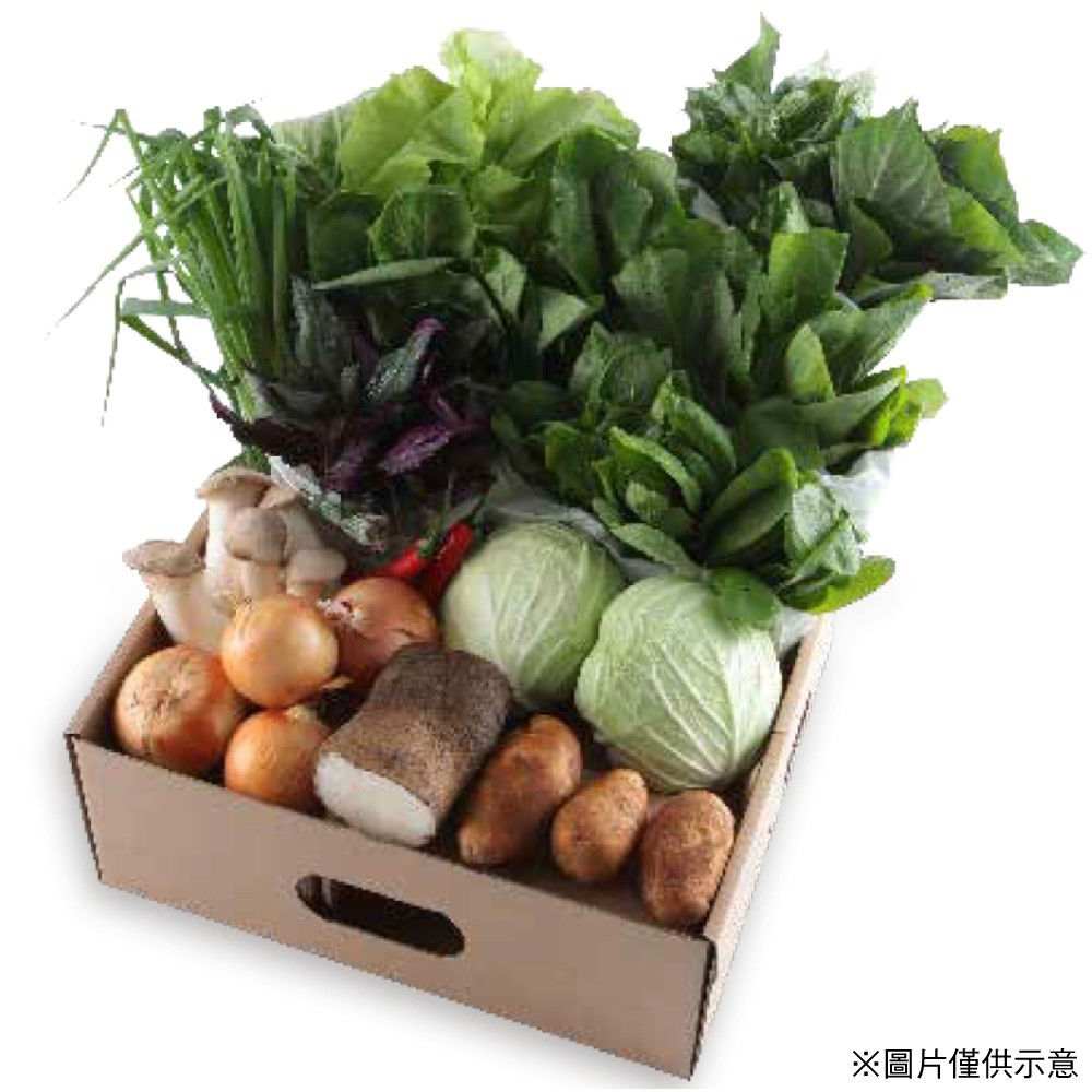 12物蔬菜箱_1000-3