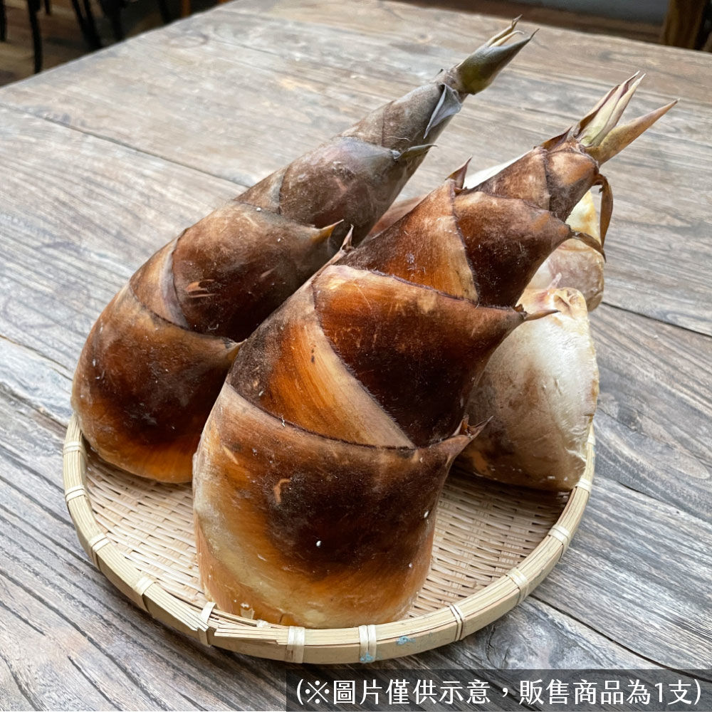有機甜龍筍-1