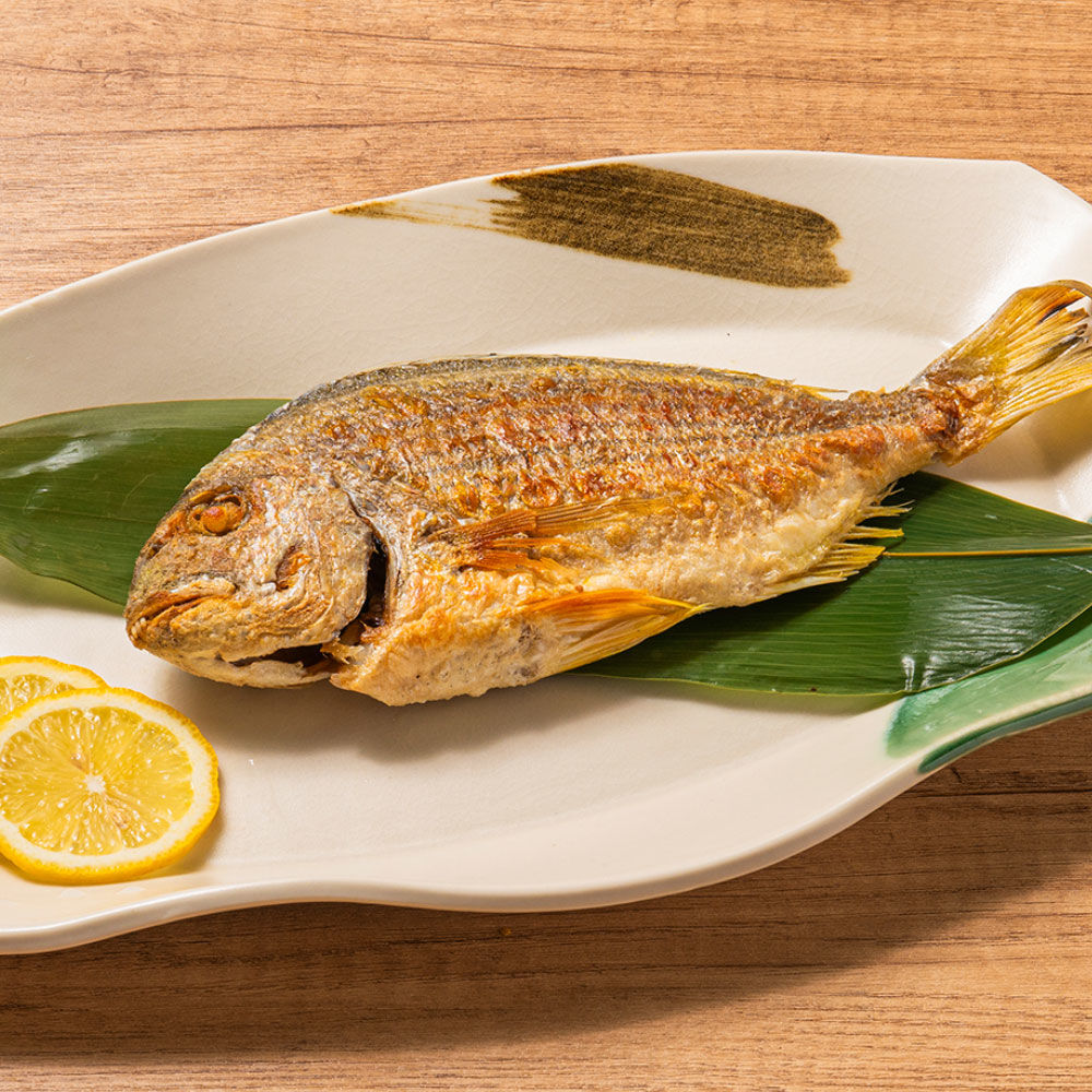 澎湖現撈野生黃錫鯛-1