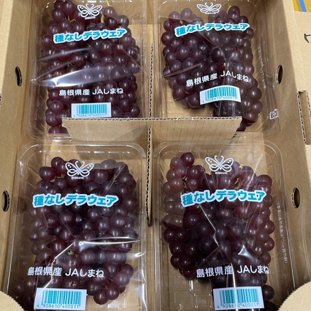 日本島根縣珍珠葡萄-1