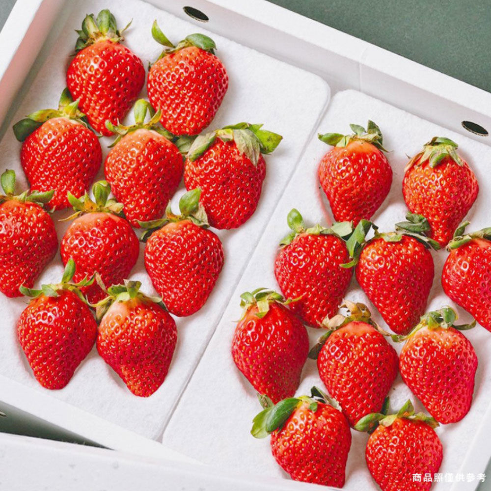 日本紅草莓-1